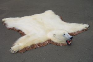 Шкура белого медведя