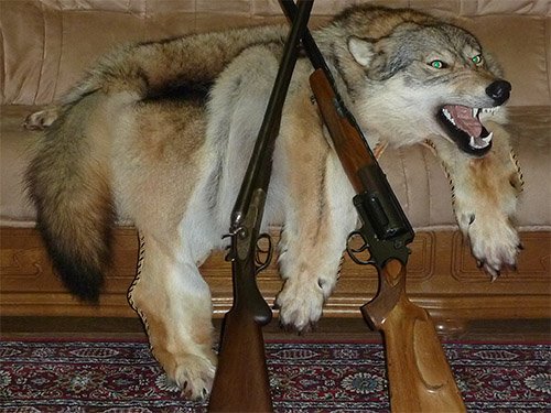 Шкура волка с ружьем